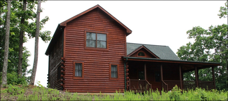 Professional Log Home Borate Application  Etowah County, Alabama